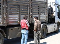 27 Buçuk Ton Kaçak Kömür İle Yakalandı, 'Buğday Taşıyorum' Dedi