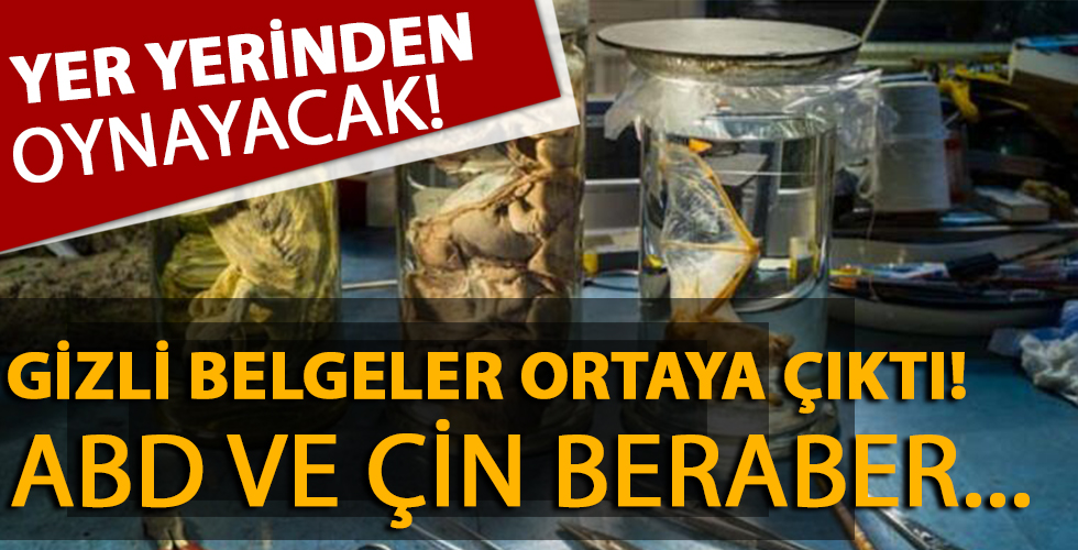 ABD ile Çin beraber yapmış! Yarasalar ve corona virüs...