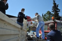 Çiftçiye 'Ücretsiz' Tohum