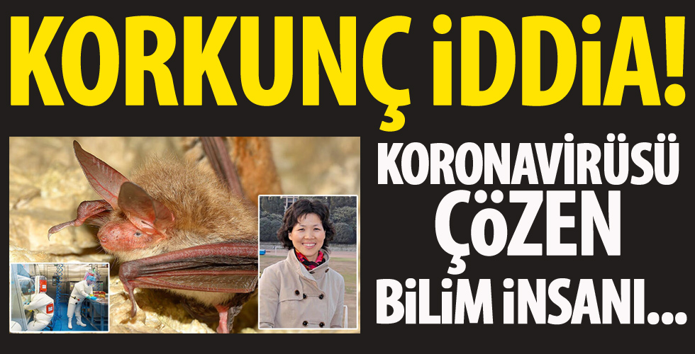 Çinli gazeteci gerçeği açıkladı!