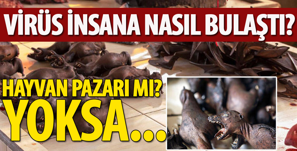 Koronavirüs insanlara nasıl bulaştı? ABD'den dikkat çeken araştırma!