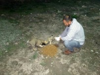 Sincan'da Her Gün 15-25 Bölgeye Mama Ve Su Bırakılıyor