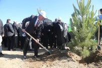 Tuşba Belediyesinden 'Model Ceviz Bahçesi' Projesi