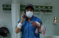 Köpek, Sahibini Hastanelik Etti