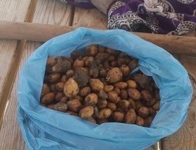 50 kilo topladılar, 307 bin lira ceza yediler