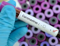MASSACHUSETTS - ABD'de koronavirüs ölümleri 31 bine yaklaştı