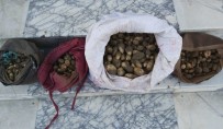 Elazığ'da Salep Soğanı Toplayan 4 Kişiye 307 Bin TL'lik Rekor Ceza