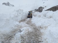 Hakkari'de 5 Metreyi Bulan Karda Yol Açma Çalışması