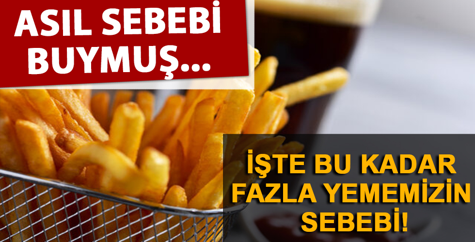 Bu kadar fazla yememizin asıl sebebi buymuş...