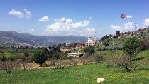 Adıyaman'ın Sincik İlçesinde İki Köy Karantinaya Alındı Haberi