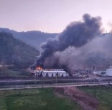 Trabzon'da Balık Fabrikasının Soğuk Hava Deposunda Yangın