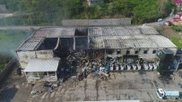 Balık Fabrikasındaki Yangının Boyutu Gün Ağarınca Ortaya Çıktı Haberi