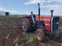 Bismil'de Sokağa Çıkma Kısıtlamasından Muaf Olan Çiftçiler Tarlalarında Çalıştı Haberi
