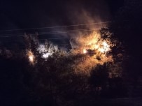 Kopan Elektrik Telleri Ormanlık Alanda Yangın Çıkardı