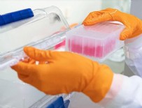 SUÇ DUYURUSU - Sonunda bunu da yaptılar!