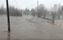 Karakoçan'da Yağmur Dereleri Taşırdı Haberi