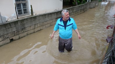 Kozan'da Evler Sular Altında Kaldı