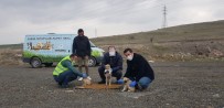 SOKAK HAYVANLARI - Pursaklar Belediyesi Sokak Hayvanlarını Unutmadı