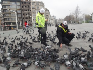 Taksim'de Aç Kalan Güvercinleri Trafik Polisleri Besledi