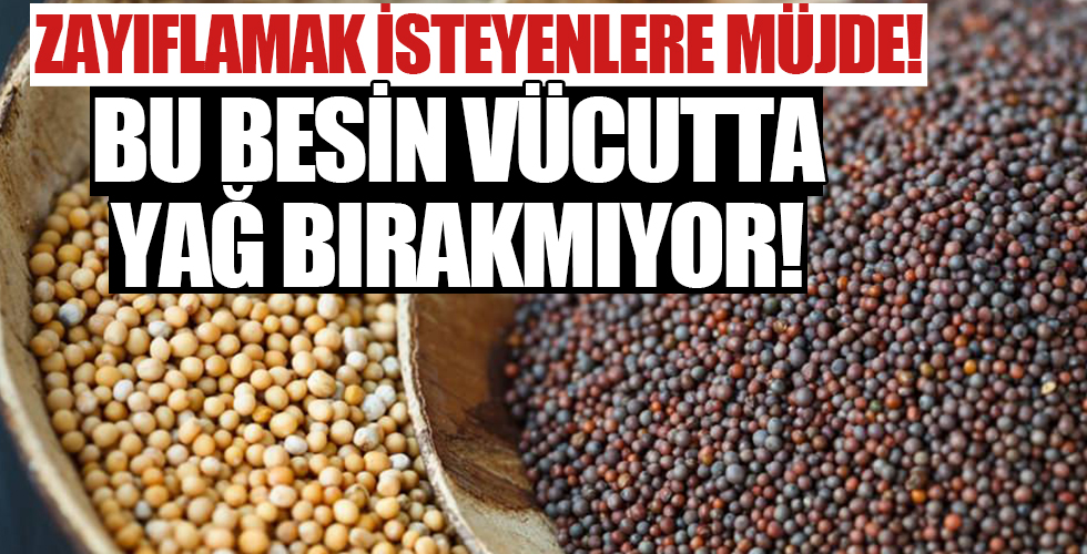 Bu besin vücutta yağ bırakmıyor!