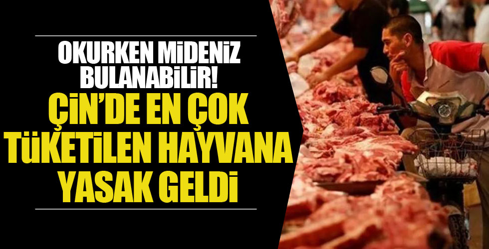 Çin'den en çok tüketilen hayvana yasak geldi!