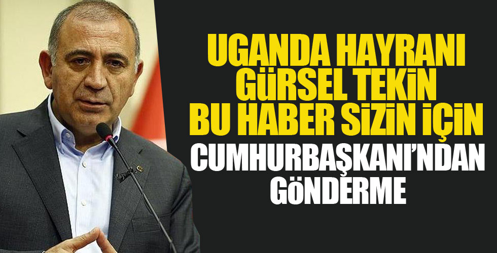 Cumhurbaşkanı Erdoğan'dan Gürsel Tekin'e gönderme!