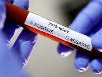 BELÇIKA - Dünya genelinde virüsten ölenlerin sayısı...