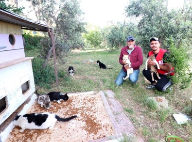 Gönüllü Gençlerden 'Mamanı Al Bize Katıl' Kampanyası