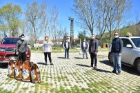 Hayvansever Kadından Sokak Hayvanlarına Yardım Eli