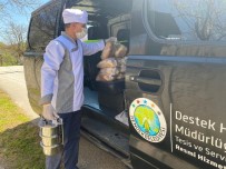 Hendek Belediyesi Hafta Sonu Vatandaşların Hizmetine Koştu