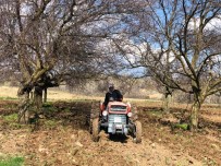 Muhtar, Yaş Sınırına Takılan Köylüsünün Tarlasını Sürdü, Ekimini Yaptı