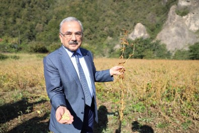 Ordu'da 'Sözleşmeli Tarım' Atağı