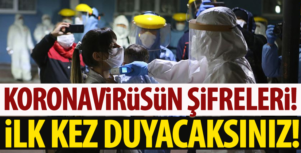 Virüs hakkında bunları ilk kez duyacaksınız!