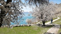 Akdamar Adası Açan Çiçeklerle Beyaz Gelinliğini Giydi