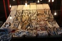 Balık Sezonu Kapandı Ama Fiyatlar Artmadı