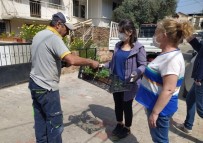 Buca'da Balkon Tarımı Başladı Açıklaması 'Evde Kal, Evde Üret'
