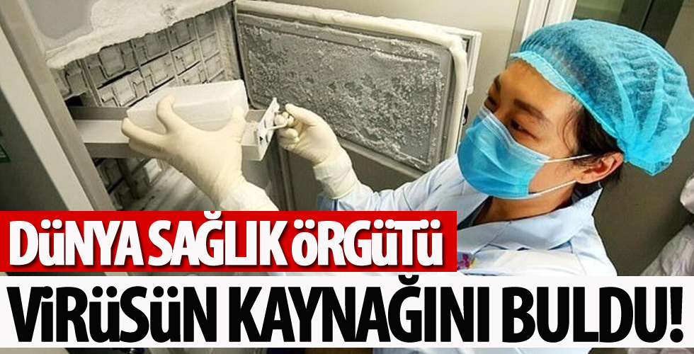 Dünya Sağlık Örgütü’nden flaş coronavirüs açıklaması