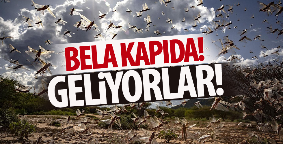 Korkutan uyarı: Hazır olmalıyız, geliyorlar!