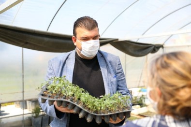 Seferihisar'da 50 Bin Fide Dağıtımı Yapılacak