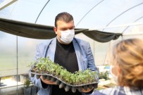 Seferihisar'da 50 Bin Fide Dağıtımı Yapılacak