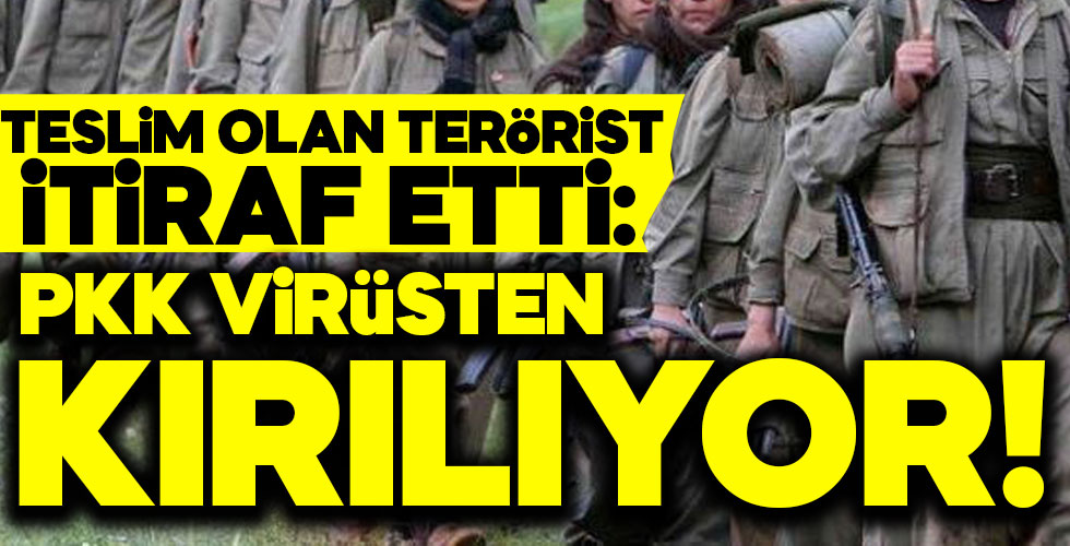 Teslim olan terörist itiraf etti: PKK virüsten kırılıyor!