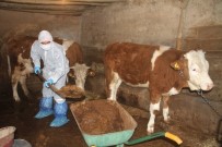 Aile Karantinaya Alındı, Hayvanlarına Vefa Ekibi Bakmaya Başladı