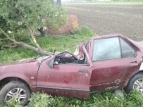 Akyazı'da Otomobil Şarampole Yuvarlandı Açıklaması 1 Yaralı