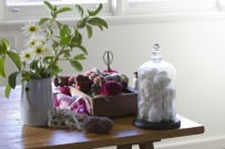 Dünya Günü, Korona Virüs Gölgesi Altında Kutlanıyor