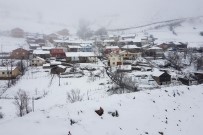 Gümüşhane'nin Yüksek Kesimlerinde Kar Yağışı Başladı Haberi