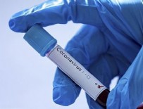 İSVIÇRE - Dünya genelinde iyileşenlerin sayısı açıkladı!