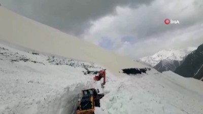 Van-Bahçesaray Kara Yoluna Çığ Düştü