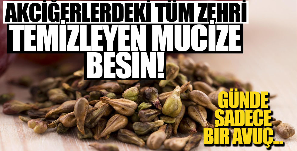 Akciğerlerdeki tüm zehri temizleyen mucize besin!