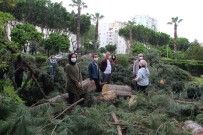 Antalya'da Sitede Ağaç Kesim Gerginliği