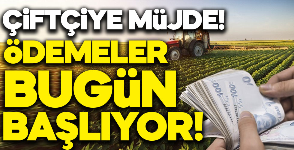 Çiftçiye müjde! Ödemeler bugün başladı!